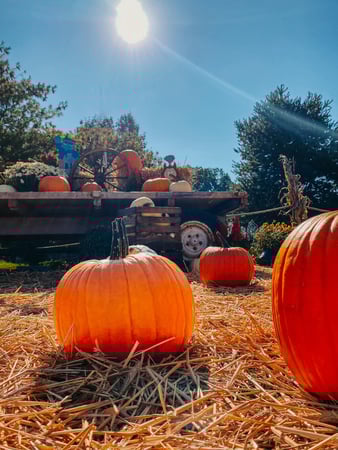 Images Bear Rock Junction