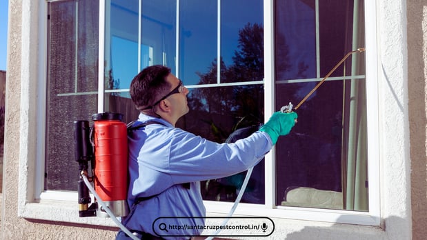 Images Pest Control Orlando