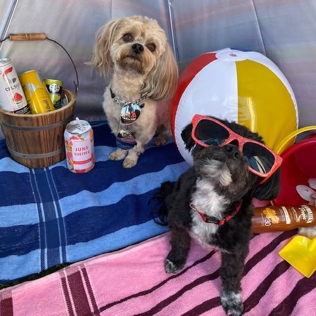 Fun in the sun!!