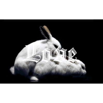 Erotic Store - Il Delta di Venere Logo