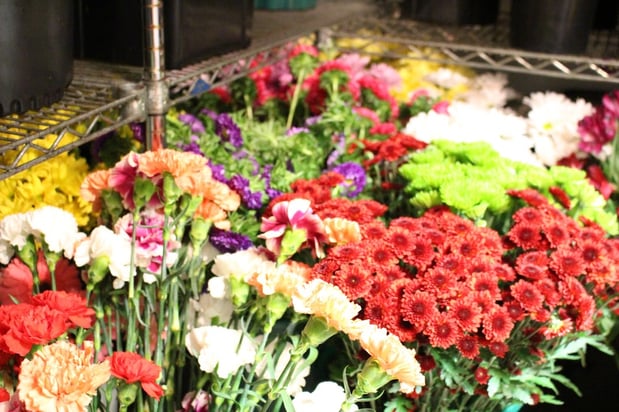 Images Ali Bleu Flowers
