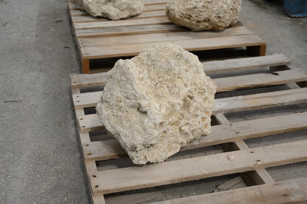 Images Olimar Stone - Miami