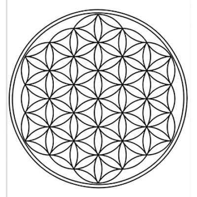 Privatpraxis Dr. Anda Marinescu  