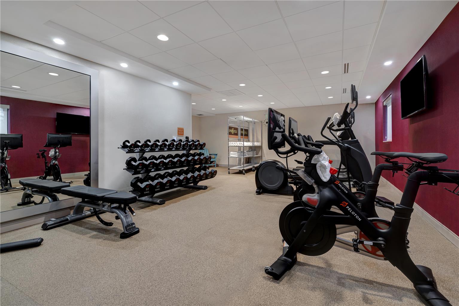 Health club  fitness center  gym
