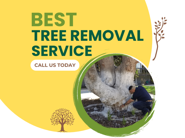 Images JC Tree Care & Landscape
