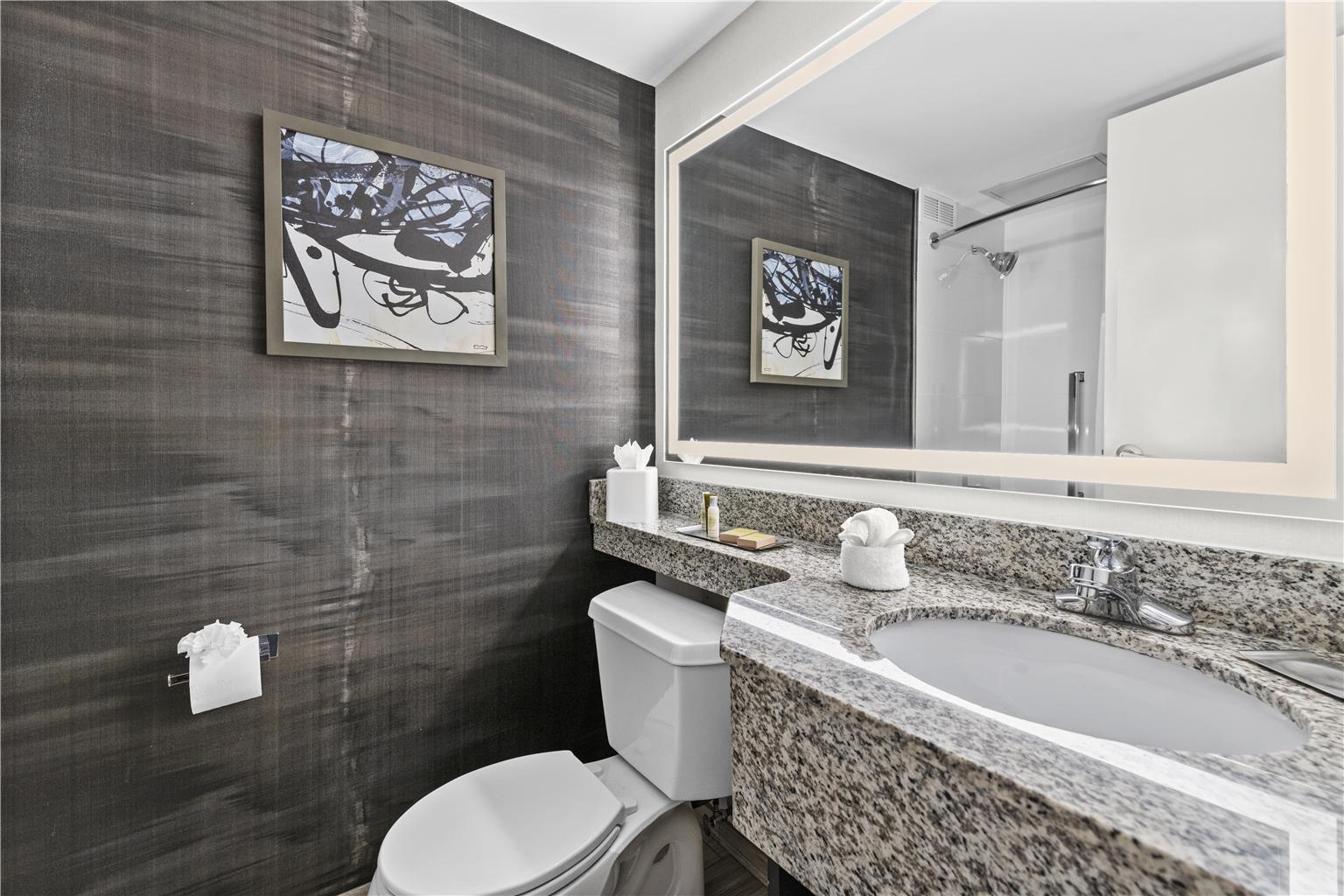 Guest room bath