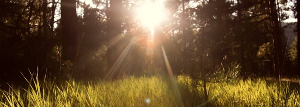 Images Newell Funeral Home