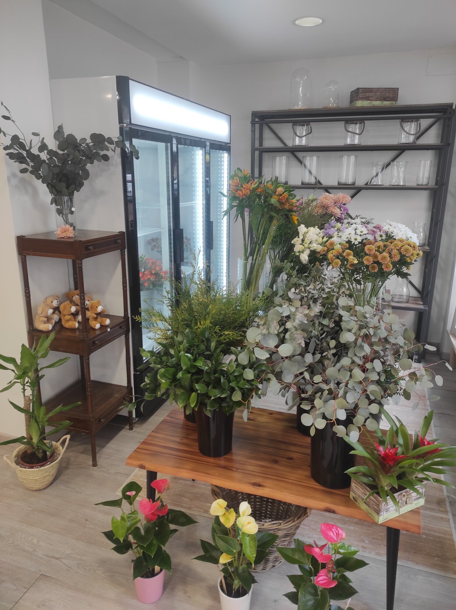 Images Las Flores de Carlos