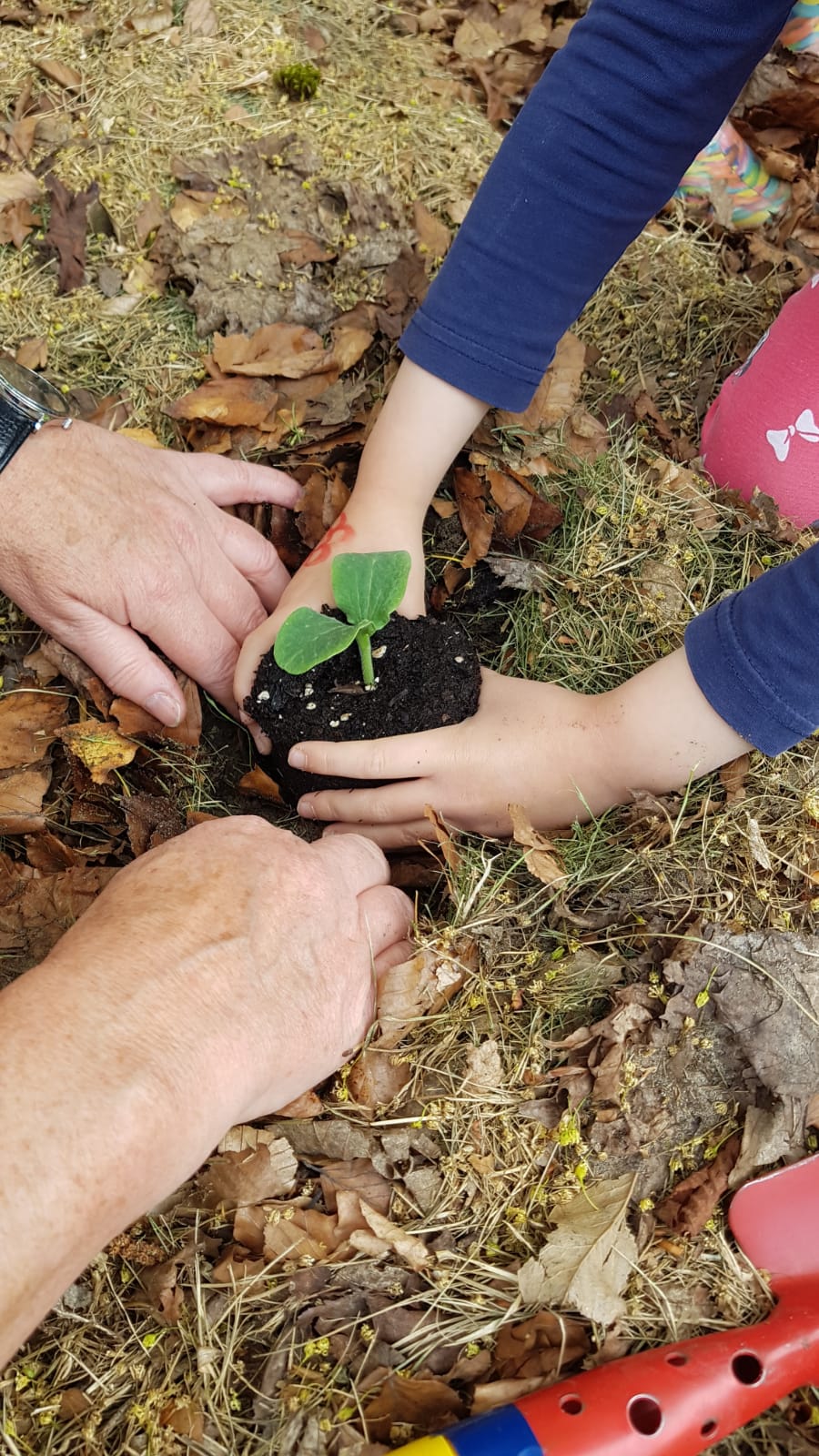 Bild 1 AWO Kita Apfelbäumchen in Berlin