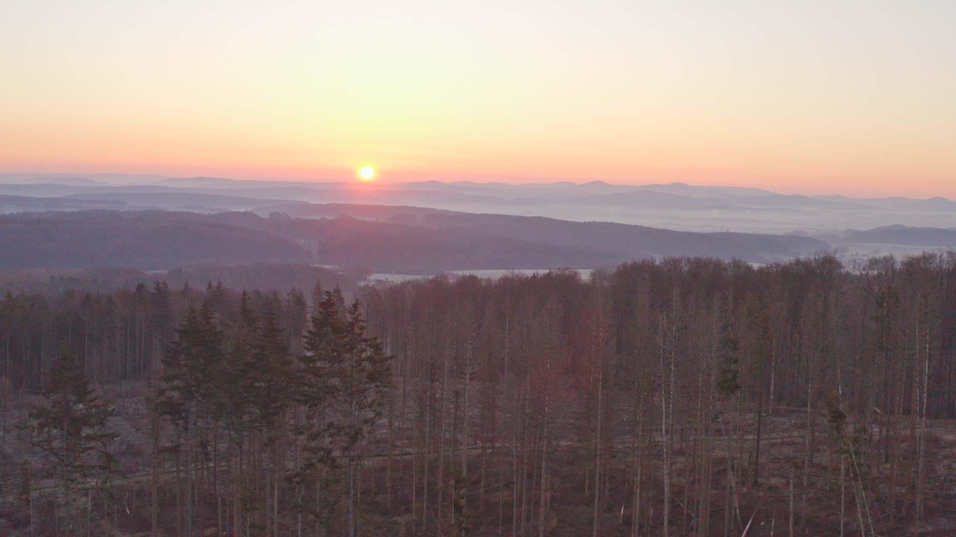 Bild 1 Forest to Future GmbH in Bad Wünnenberg