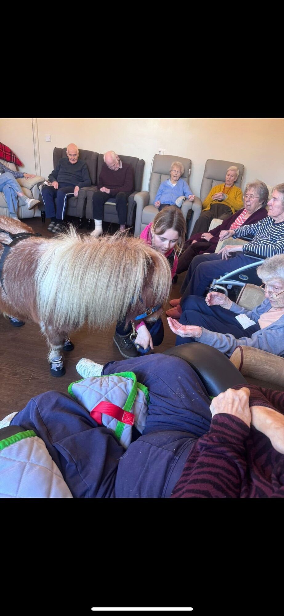 Images Kent Equine Therapy Ponies