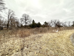 Images Winfield Cohen - Real Estate Sales: Team Winfield | Keller Williams Success Realty