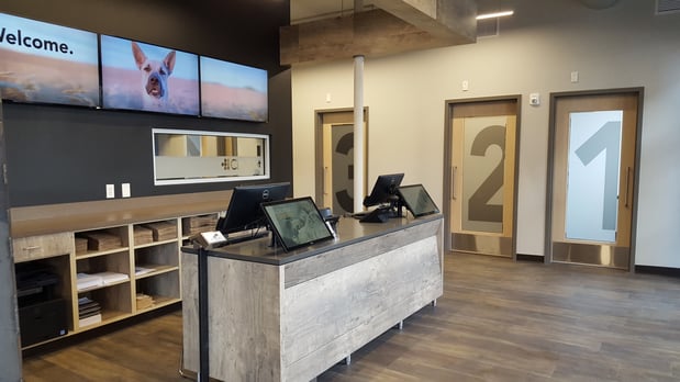 Images CityVet | Capitol Hill Veterinary Clinic & Urgent Care