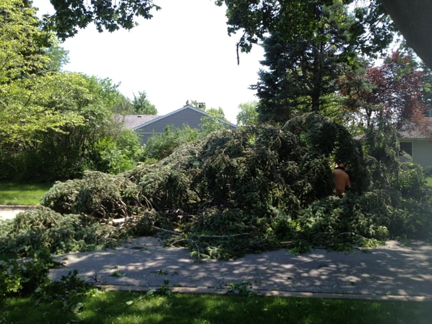 Images Gabriel's Landscape & Tree Services Inc.