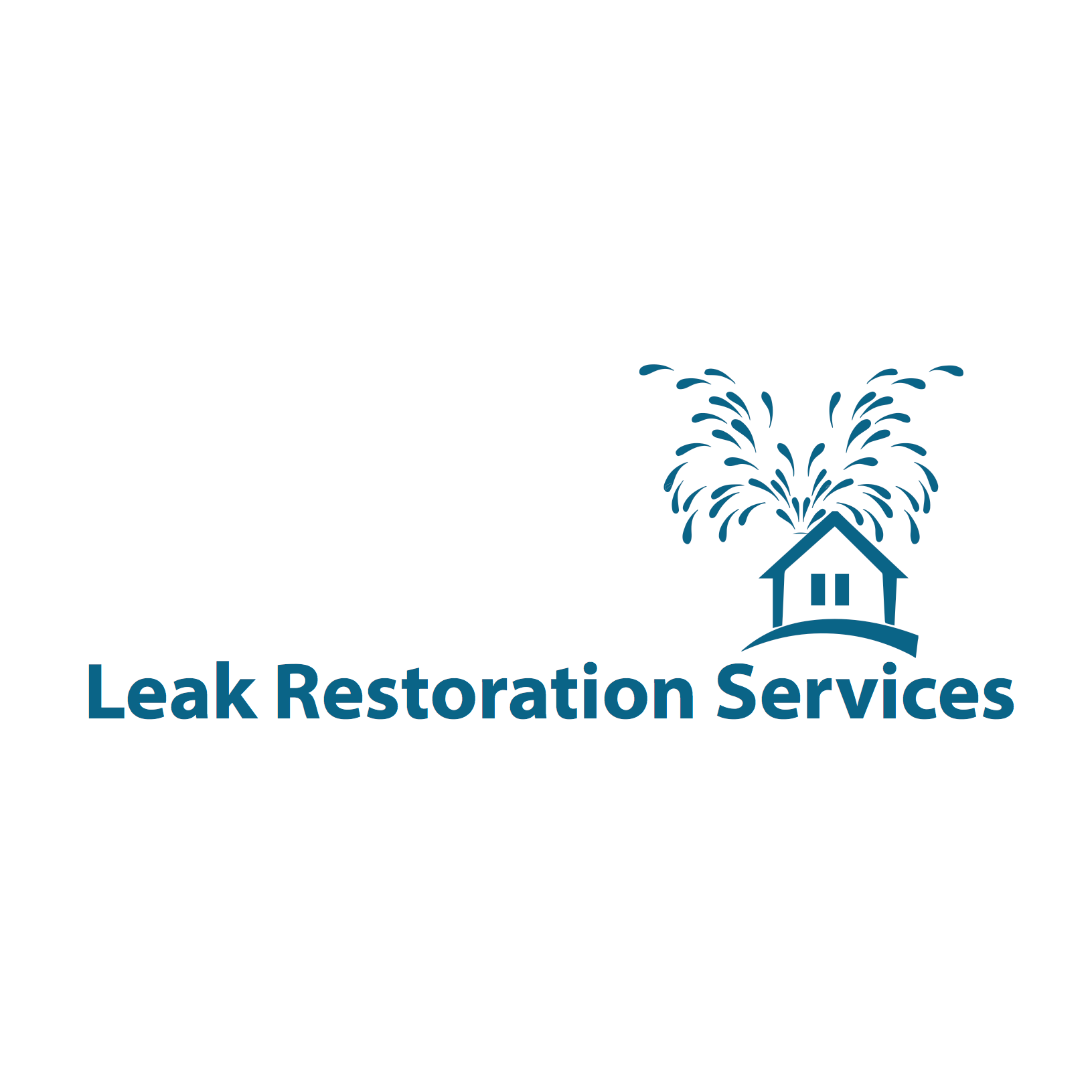 Leak Restoration Services