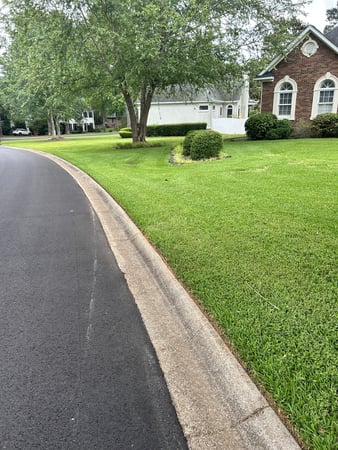 Images Pacheco Landscaping