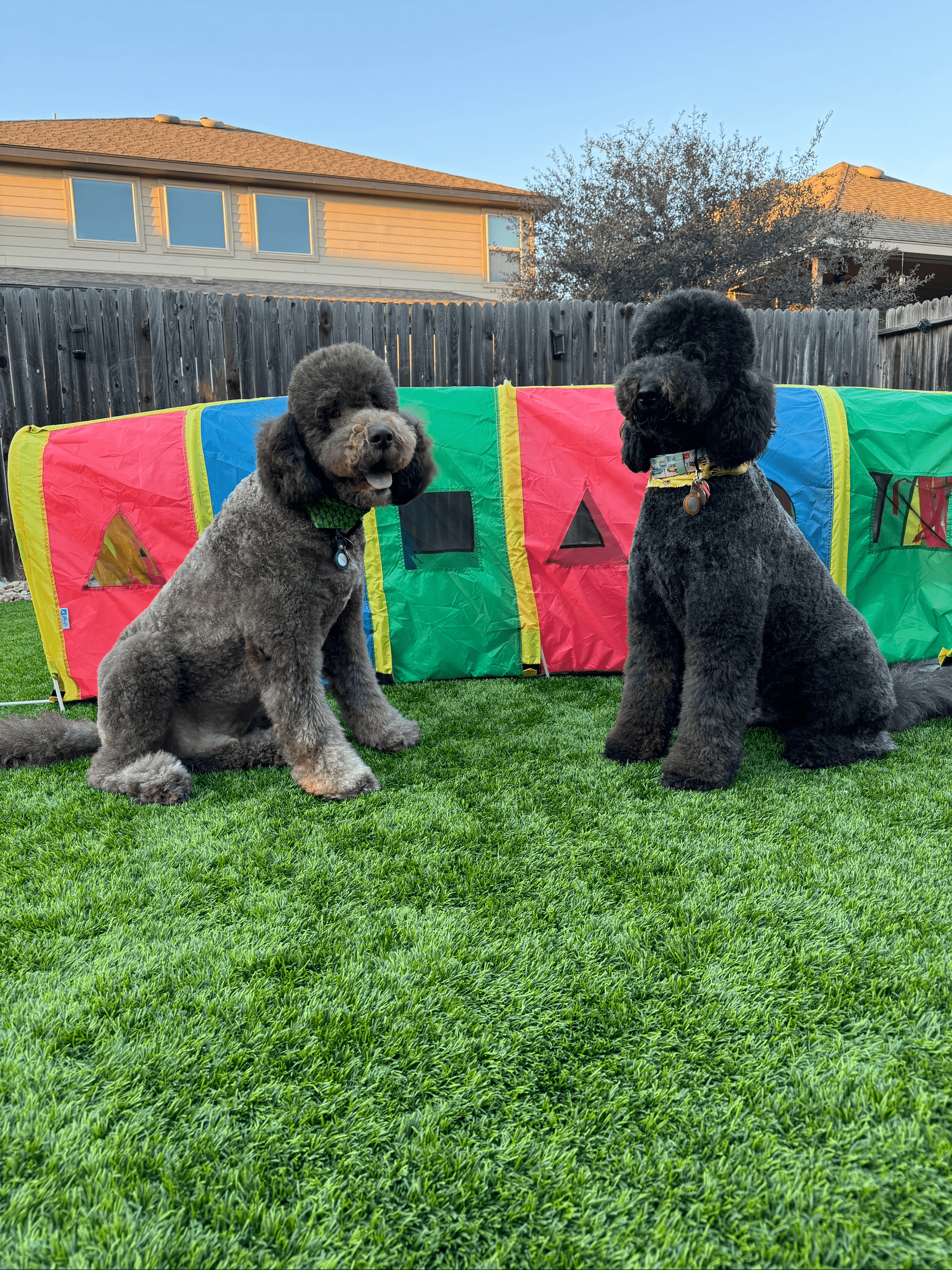 Doodle Me This Kingston and Hamilton LLC Image
