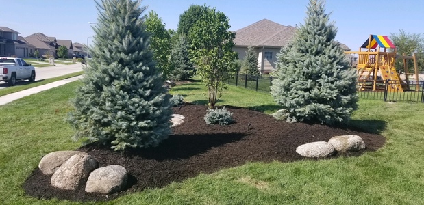 Images Arbor Hills Trees & Landscaping
