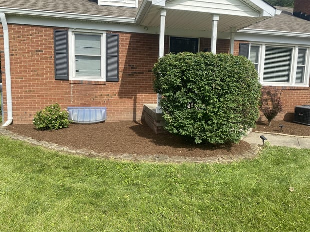 Images Rooted Lawn & Landscape