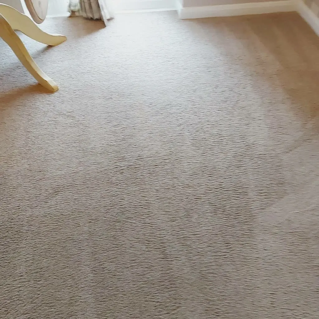 Images Titanium Cleaning