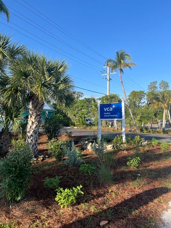 Images VCA Sanibel Animal Hospital