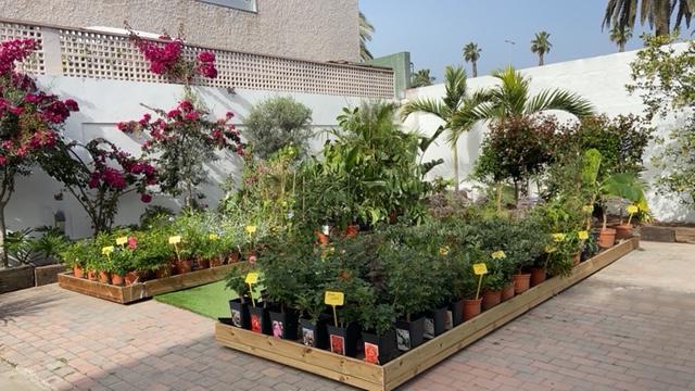 Images Grupo Anatura - La Casa De Las Semillas