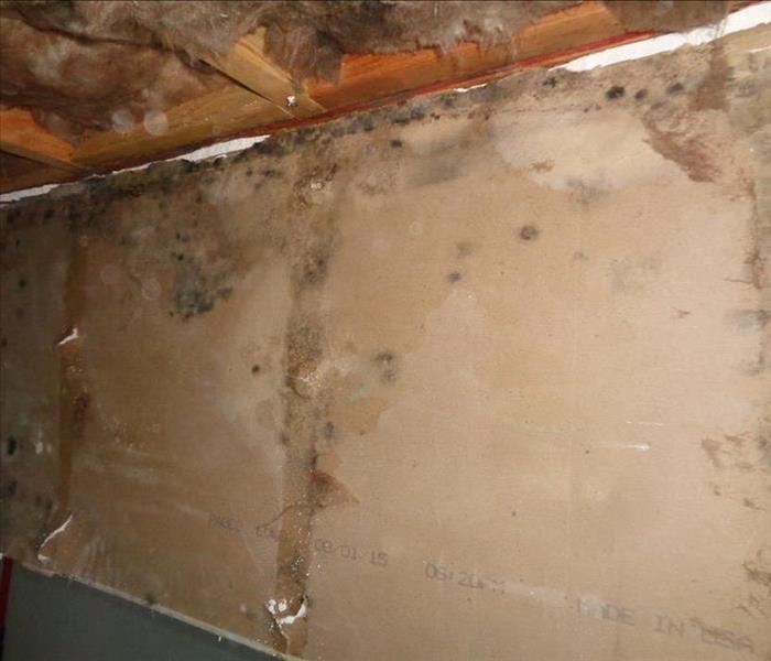 The affects of an unnoticed roof leak left a good part of this ceiling covered in mold. SERVPRO was called to remediate the home. A clearance test was preformed and passed. The ceiling drywall was put back and left looking brand new. The family was able to come back home at ease knowing their home was in good hands.