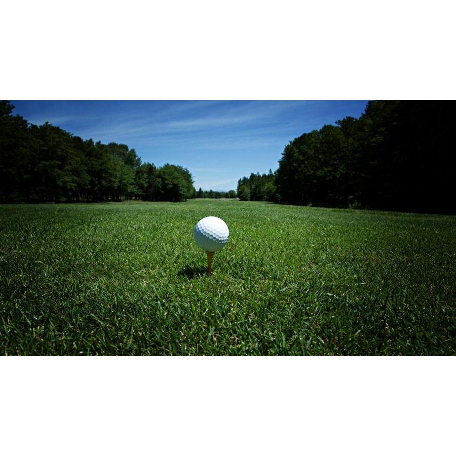 Dennis Murray, CO PGA Teacher Of The Year Valley Country Club