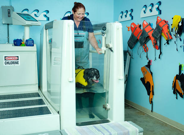 Images Care Center - Cincinnati (CARE)