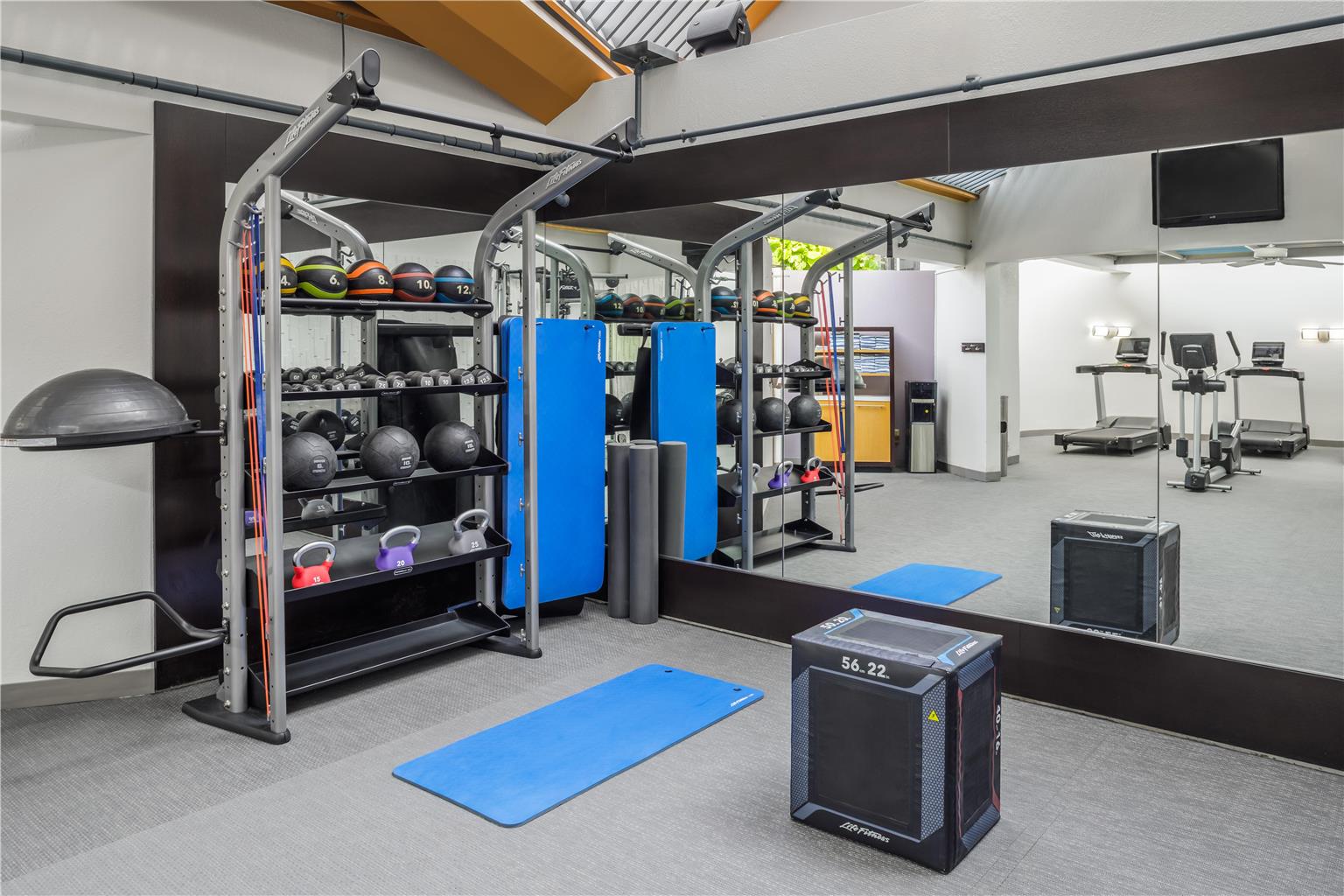Health club  fitness center  gym