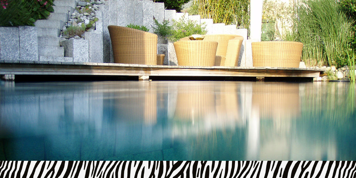 Bilder Zebra AG Garten & Pool