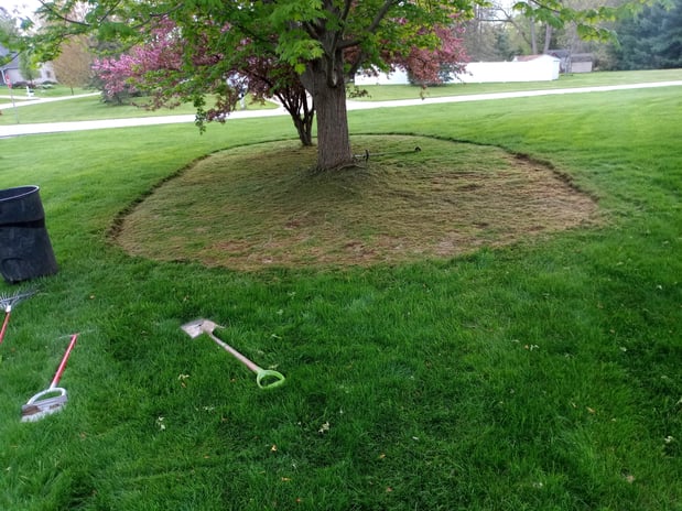 Images MRK Landscaping & Snowplowing