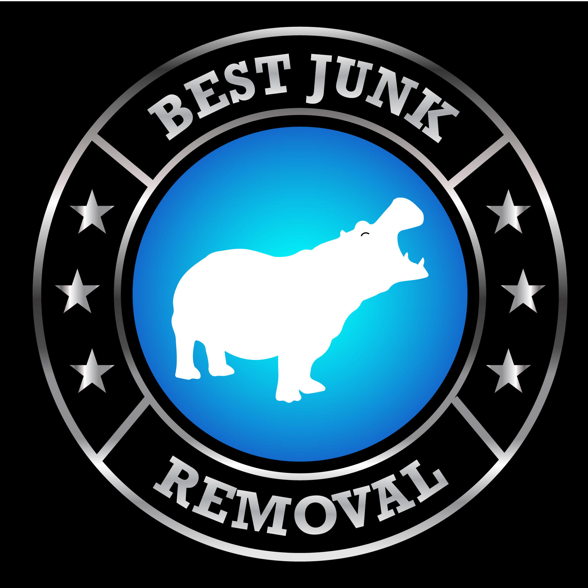 Best Junk Removal Logo