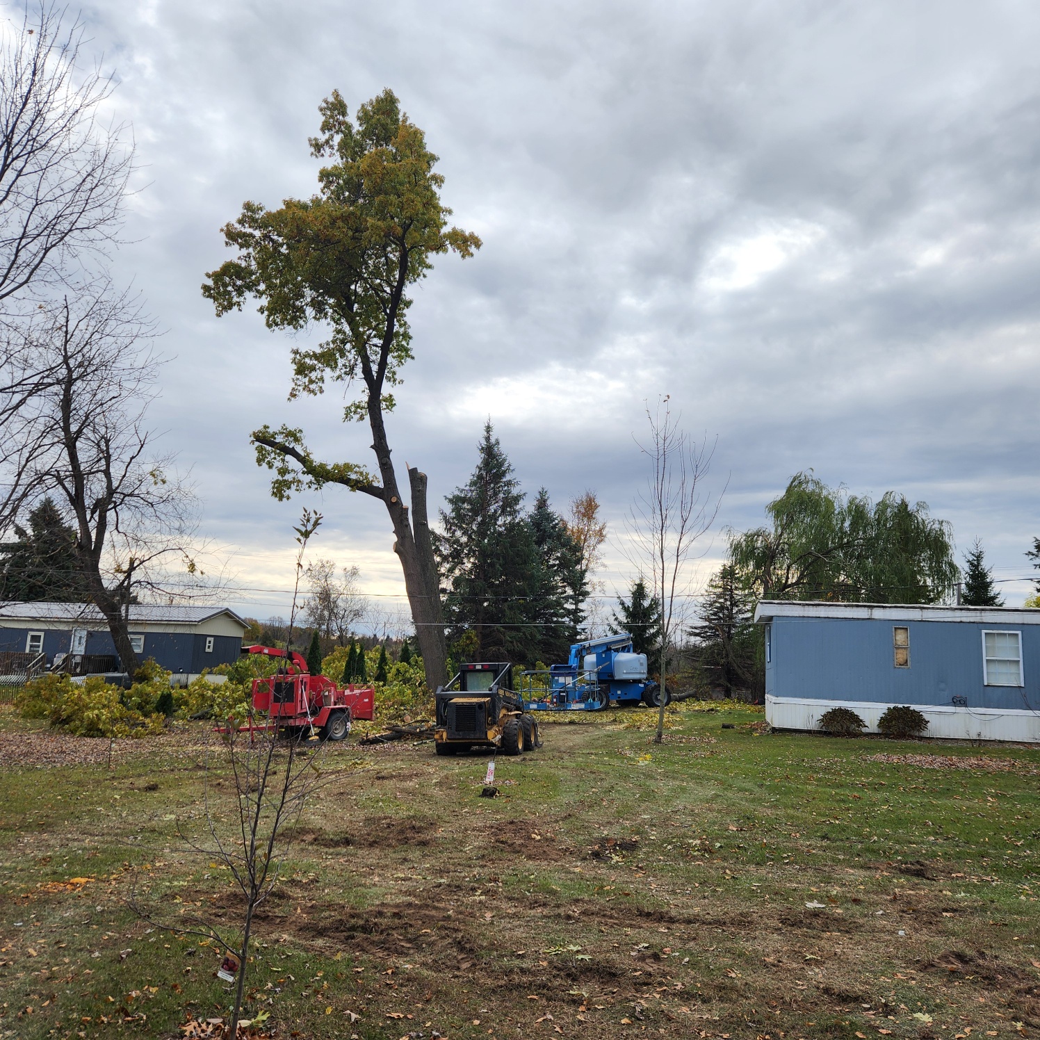 Milks Tree Service Inc Image