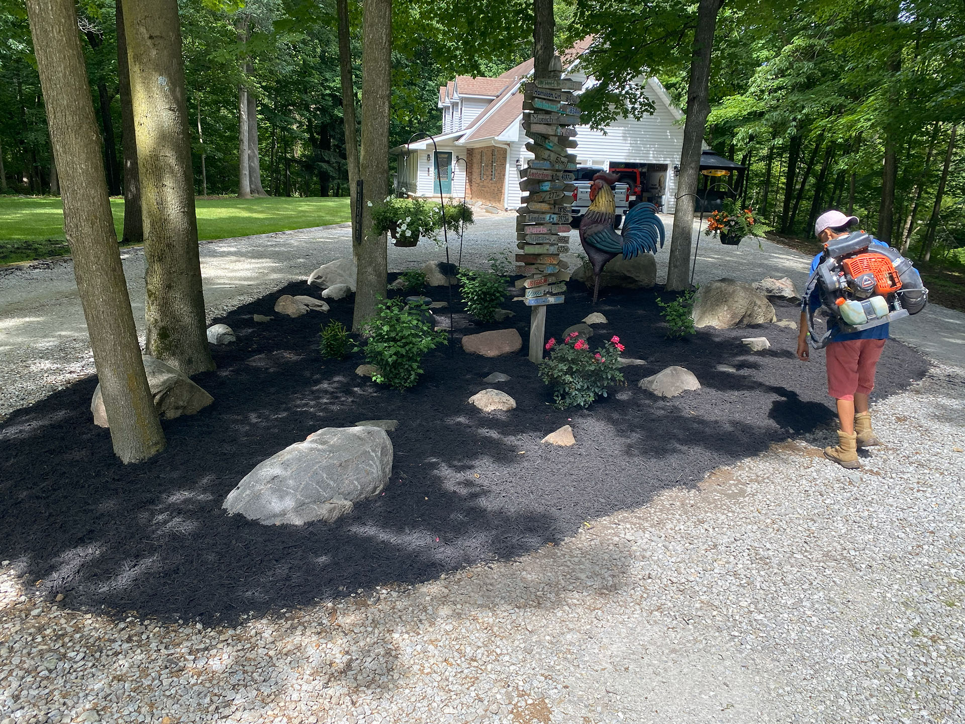 Rooted Lawn & Landscape Image