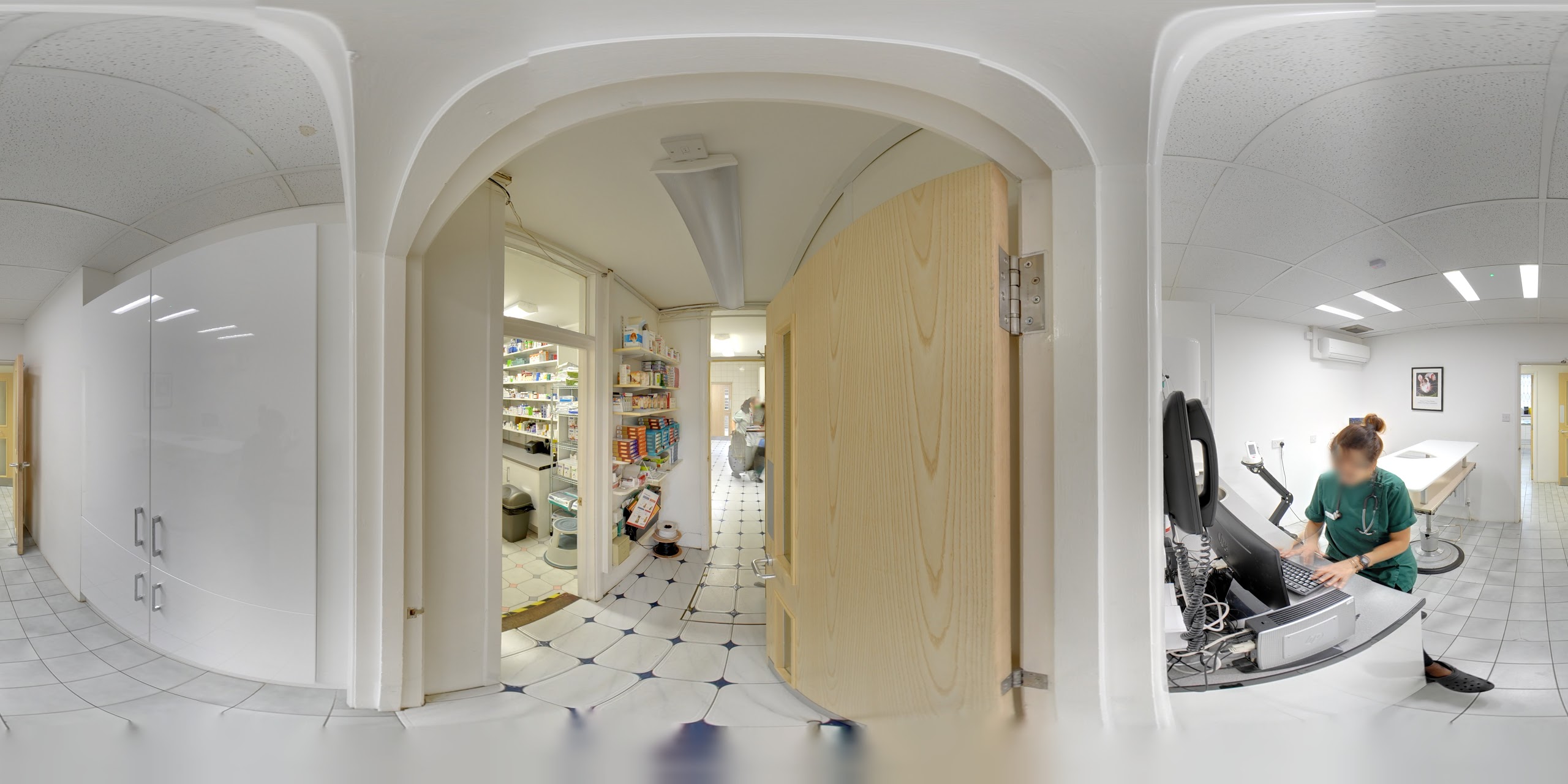 Images Streatham Hill Veterinary Surgery