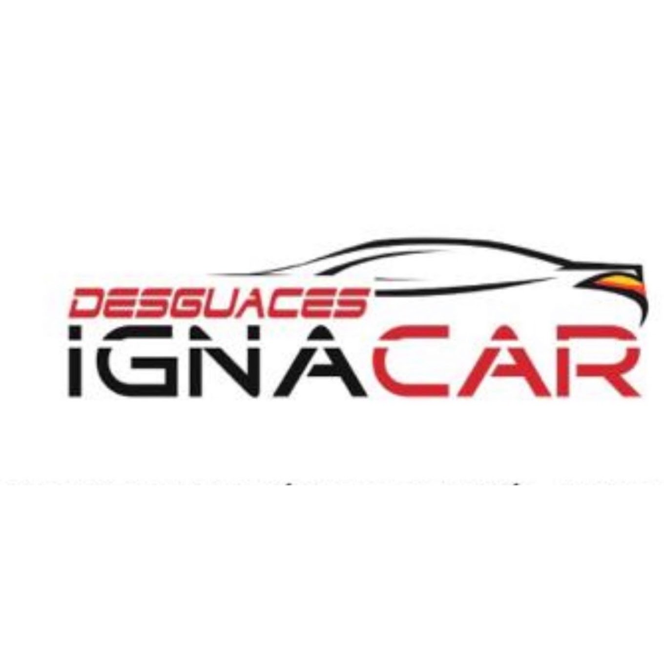 Desguaces Ignacar Logo