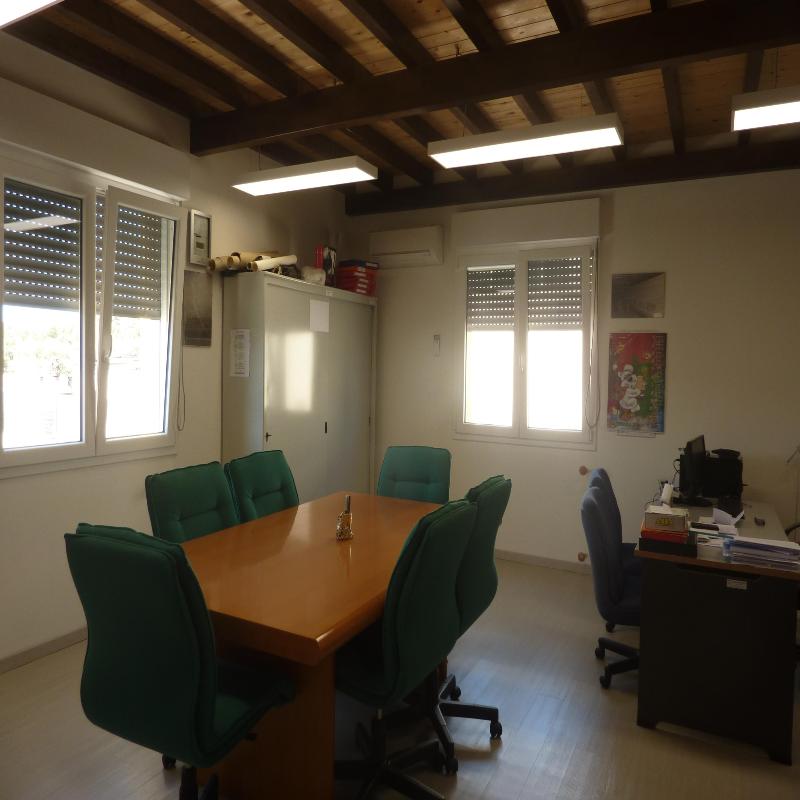 Images Gibbons Sarda