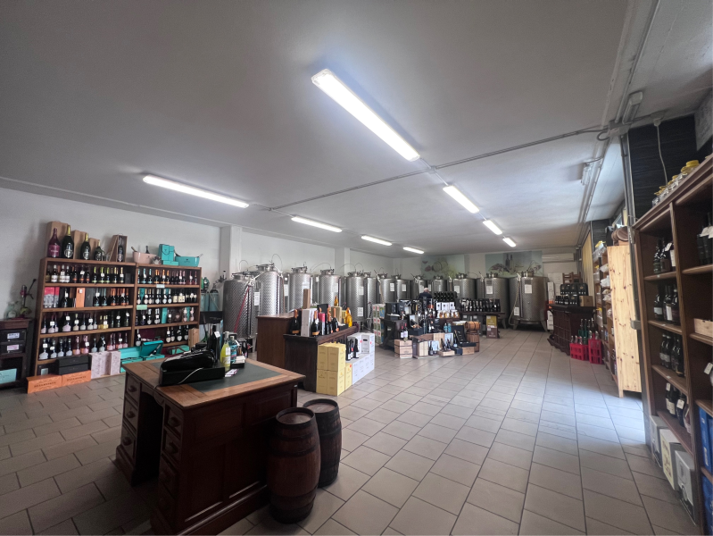 Images Enoteca Cantina Vicina