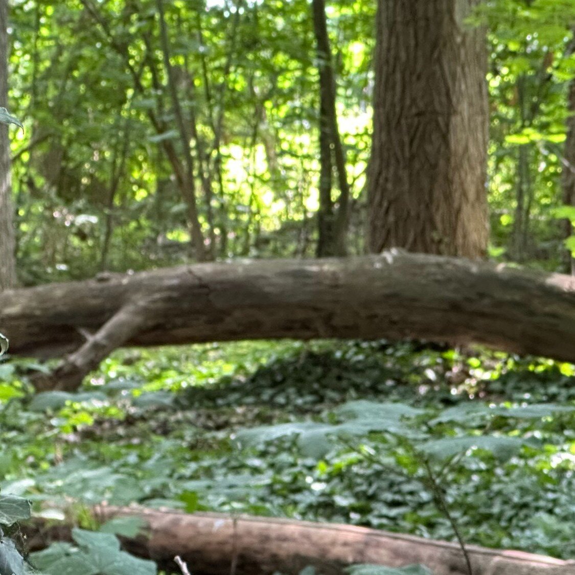 ICH Zeit pur! ...in der Natur, Mößlitz 30A in Zörbig