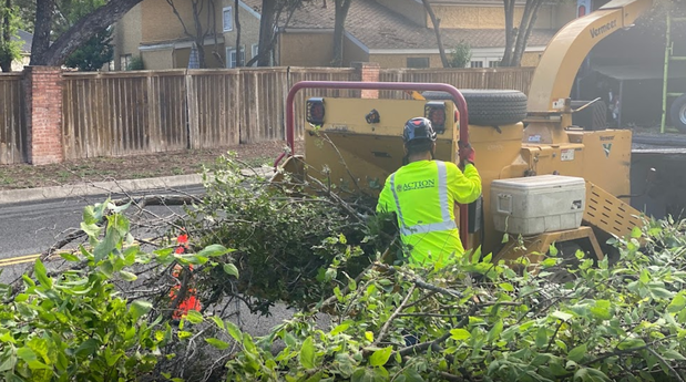 Images Action Tree Service