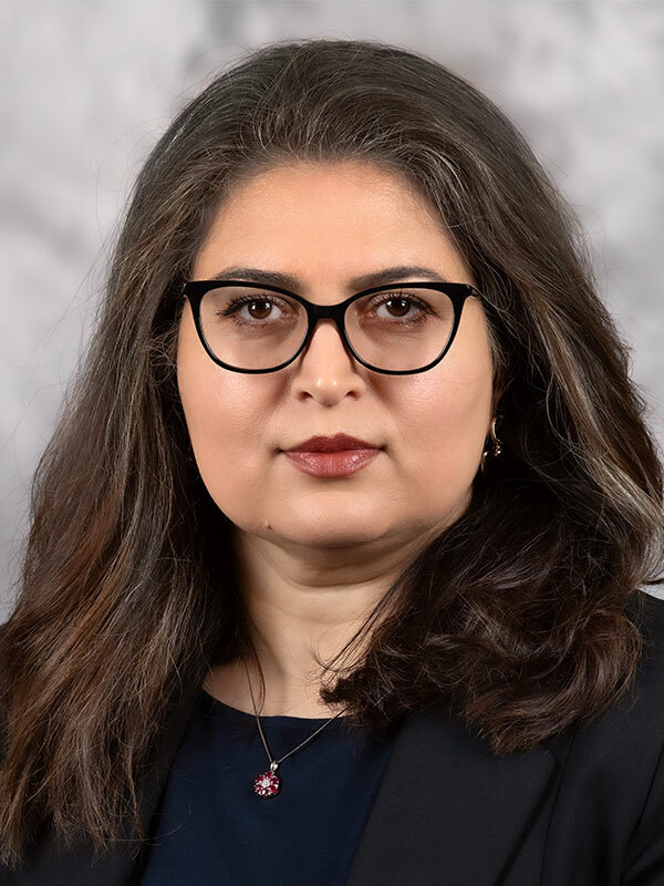 Narges Zandvakil, MD - Carmel, IN - Ophthalmology, Ophthalmologist