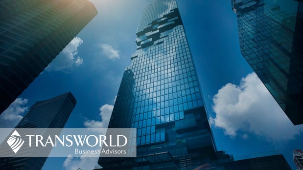 Images Transworld Business Advisors of West Michigan