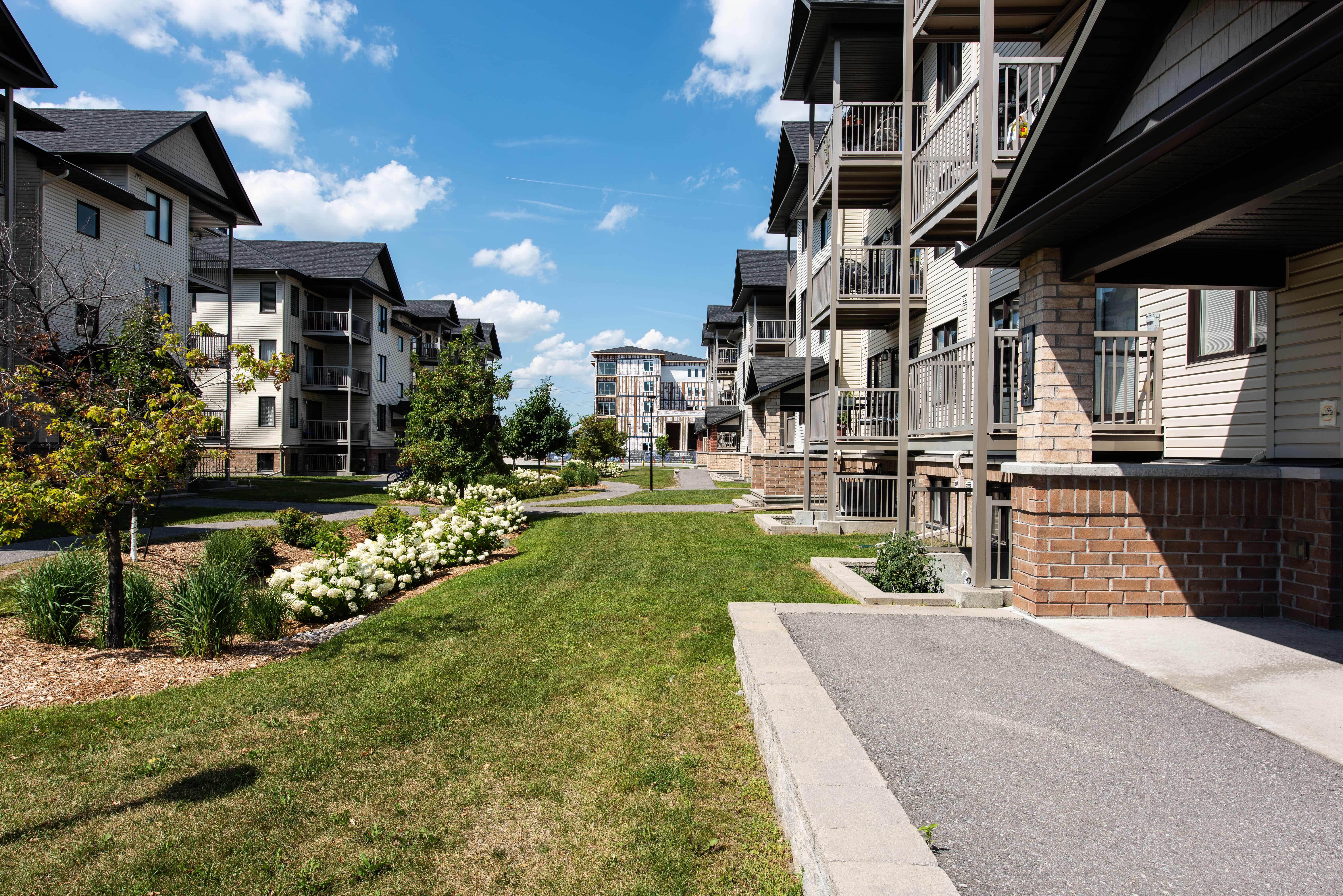 Images Leif Olson - Ottawa Real Estate Agent - Hamre Team RE/MAX Affiliates