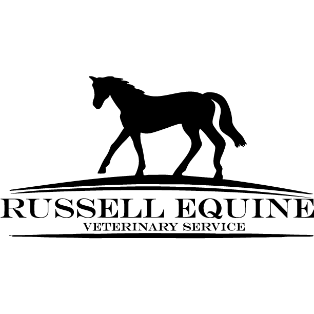 Russell Equine Veterinary Service