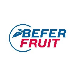 Befer Fruit Logo