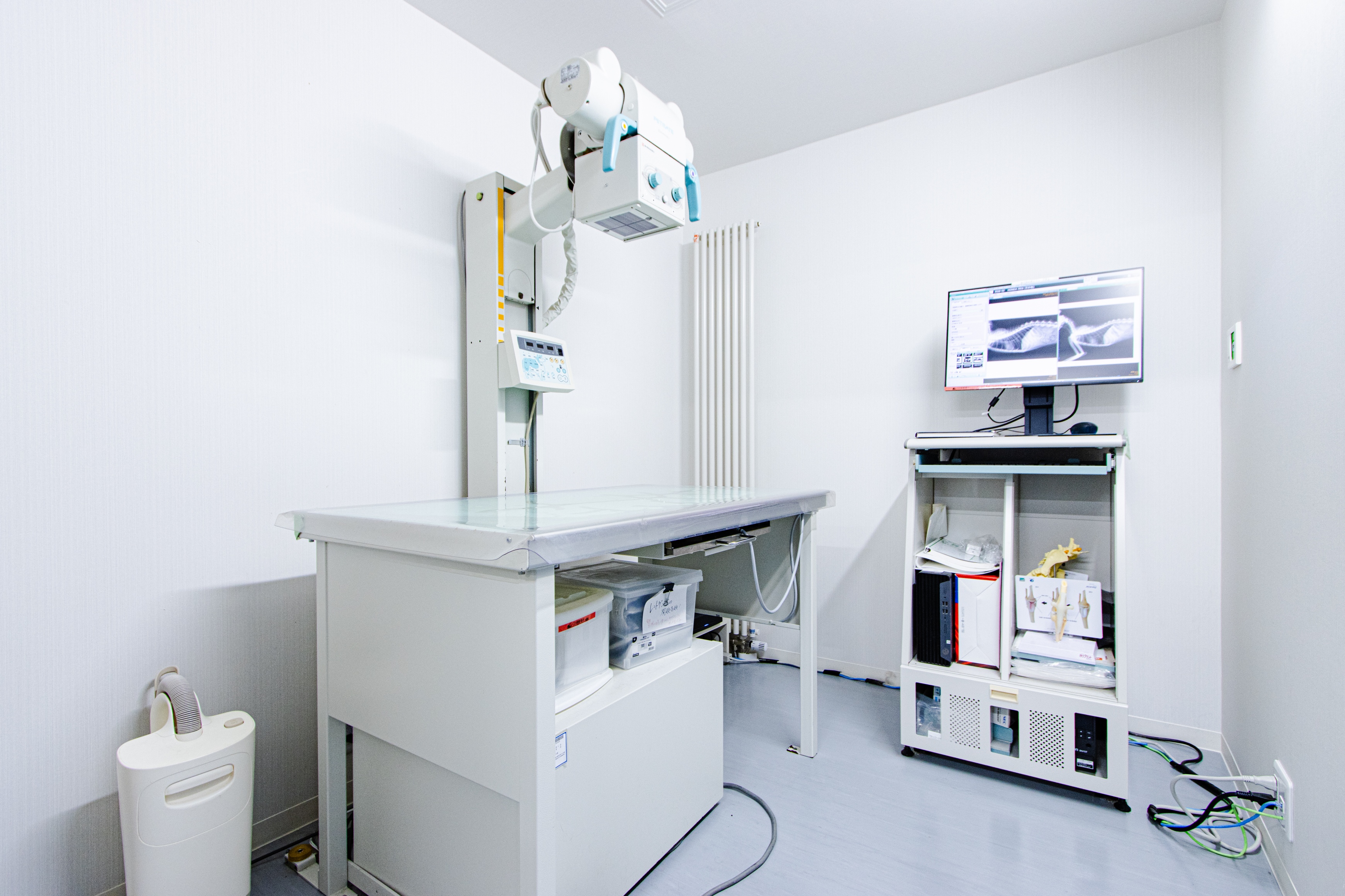 Images アイリス動物医療センター