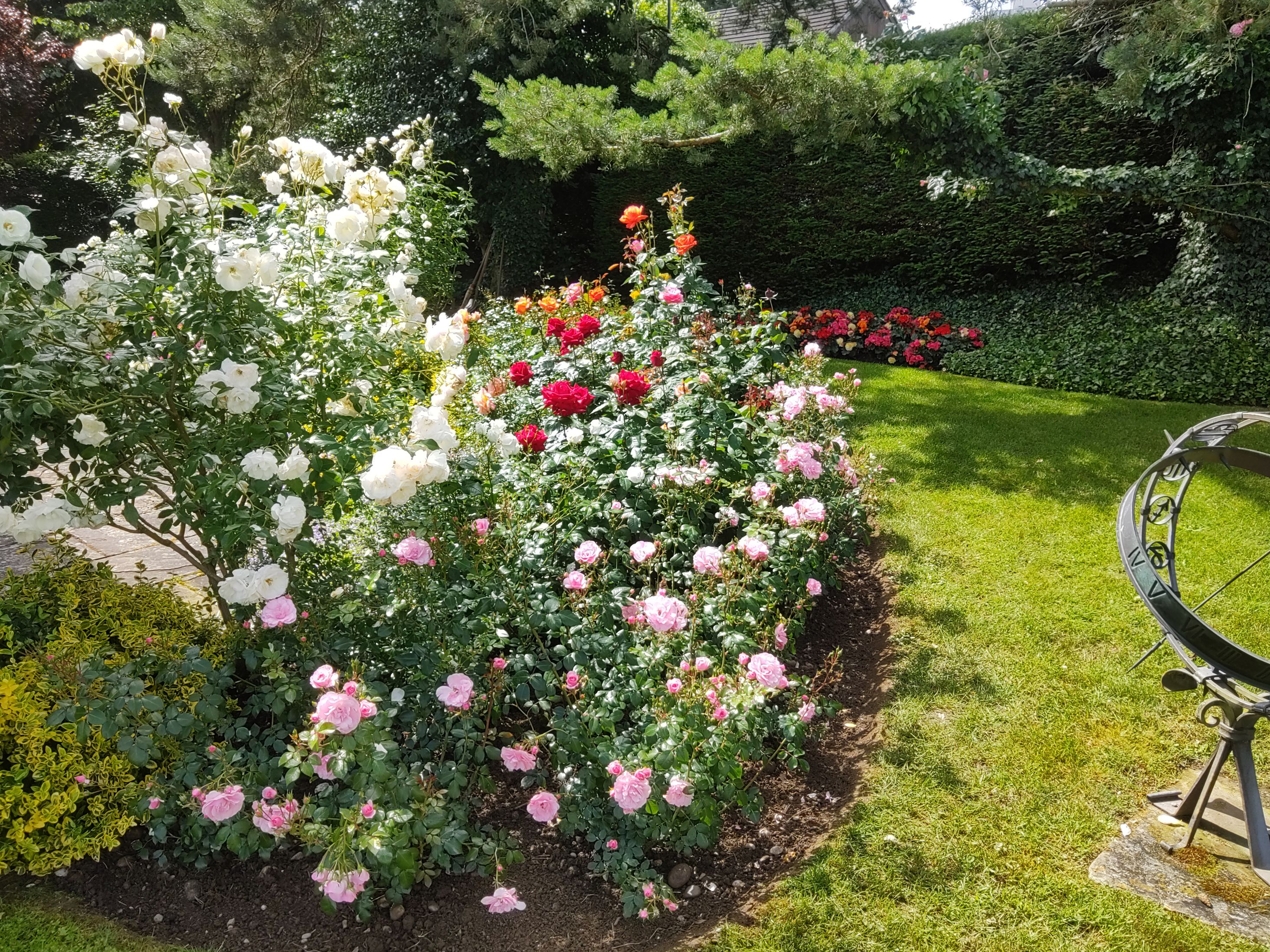 Bilder MM Gartenpflege GmbH