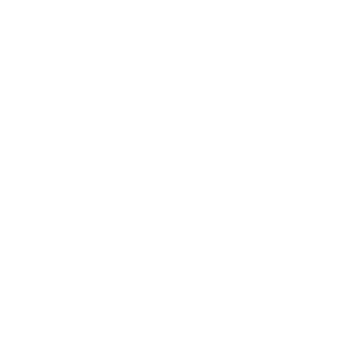 South Lamar Village Logo