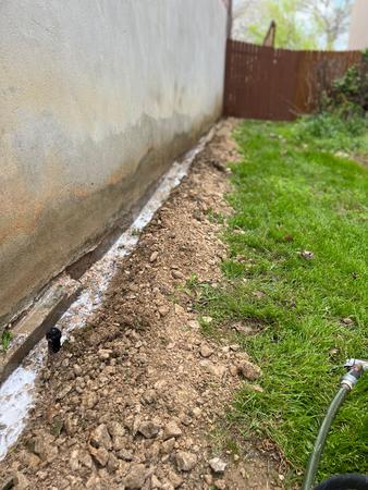 Images X Out Pest Services